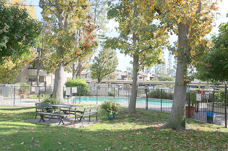 picnic pool picnic pool