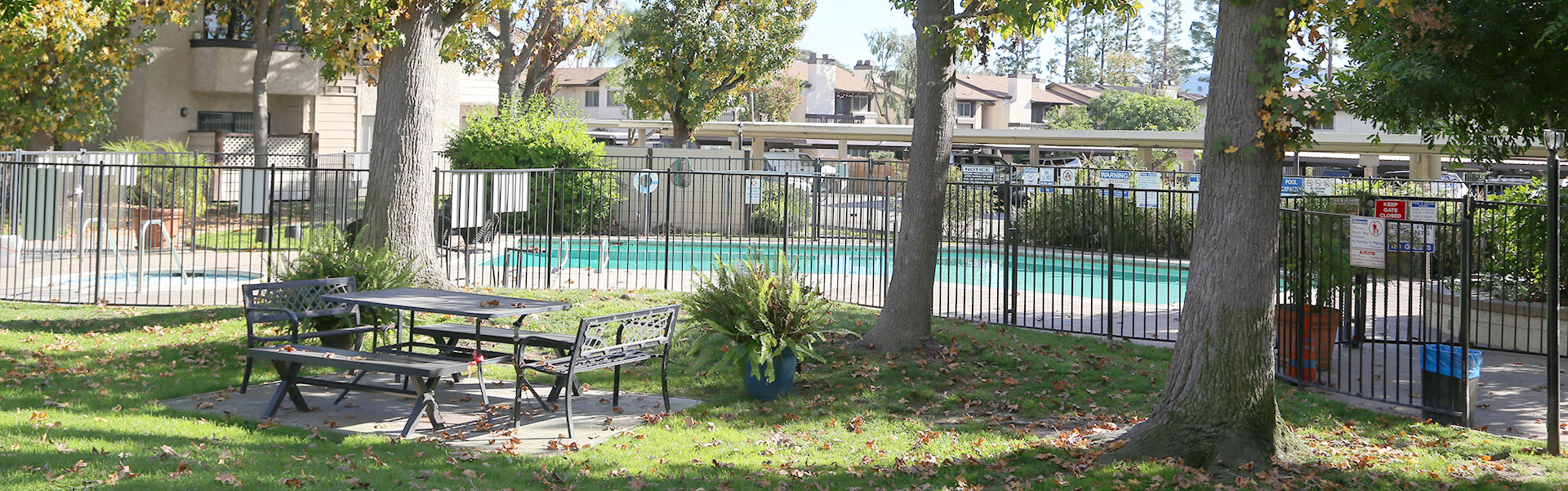 picnic pool header picnic pool header